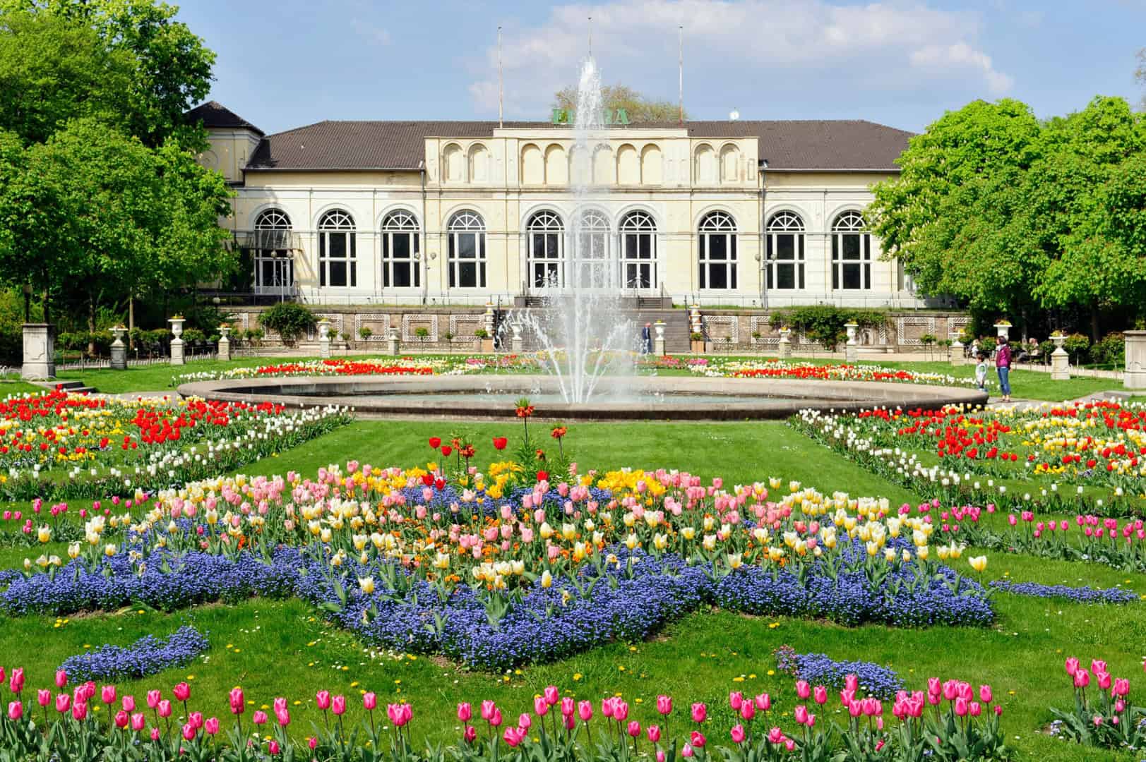 4. Cologne Flora and Botanical Garden